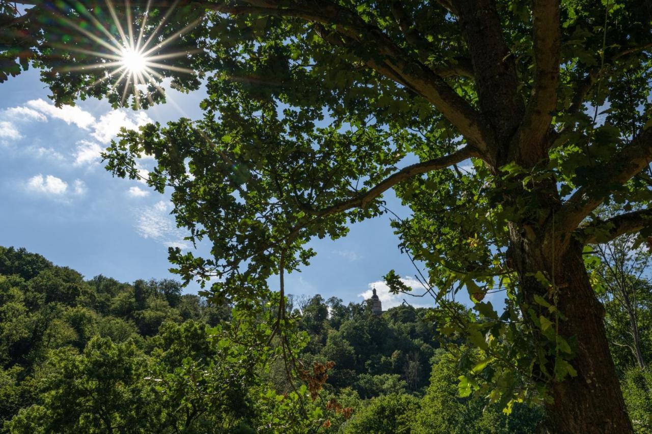 Thalmuehle Aparthotel Meisdorf Εξωτερικό φωτογραφία